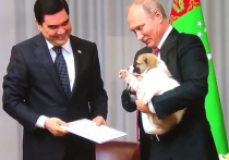 подростки в троем порно видео подростки в троем порно видео